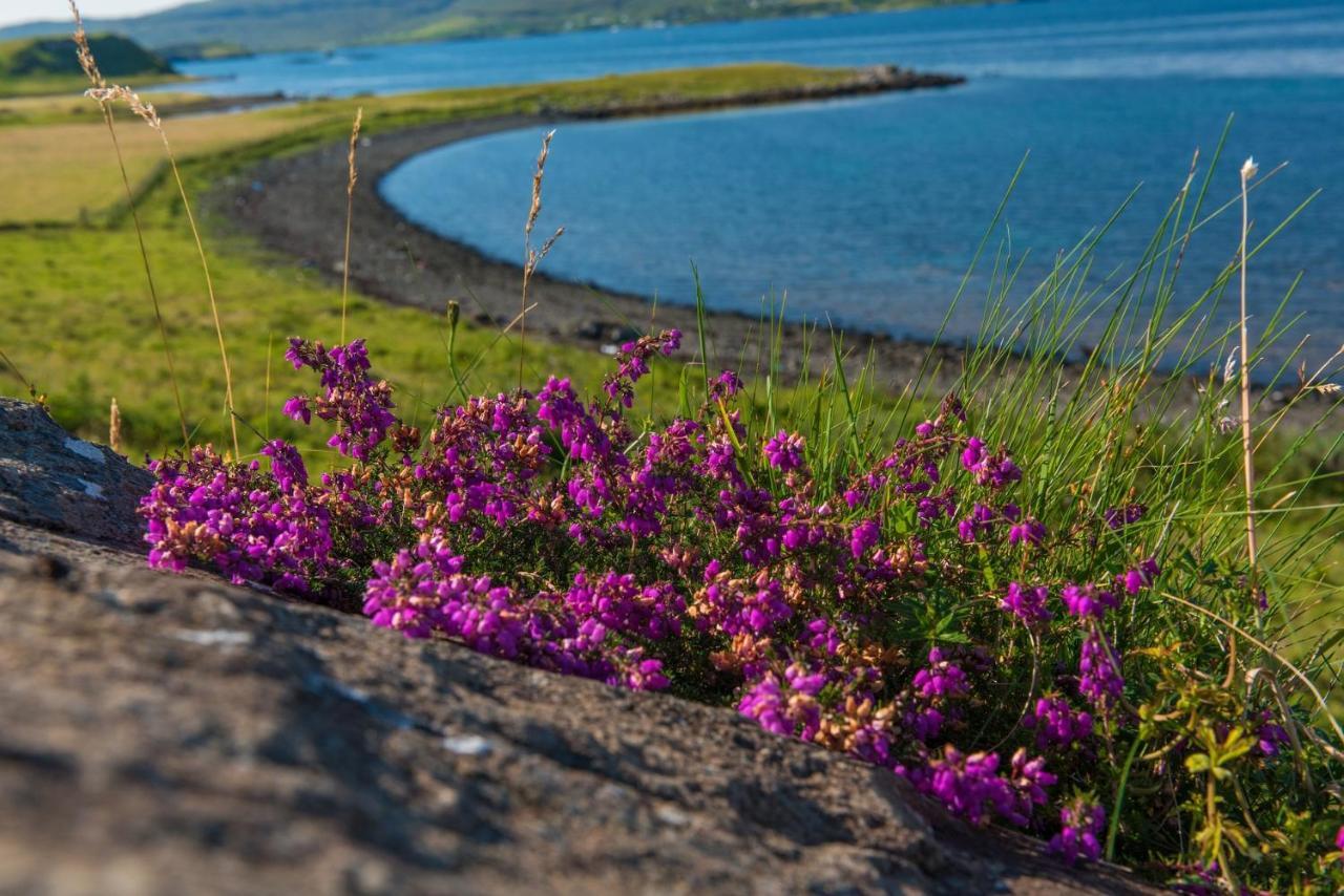 Skye Lodge Dunvegan Skye Eksteriør billede